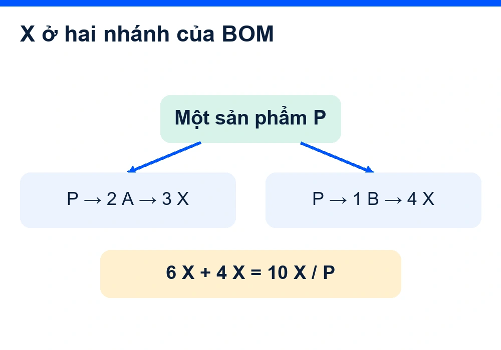 Cây giả định P có hai A với ba X mỗi A và một B với bốn X, tạo tổng 10 X cho một P.