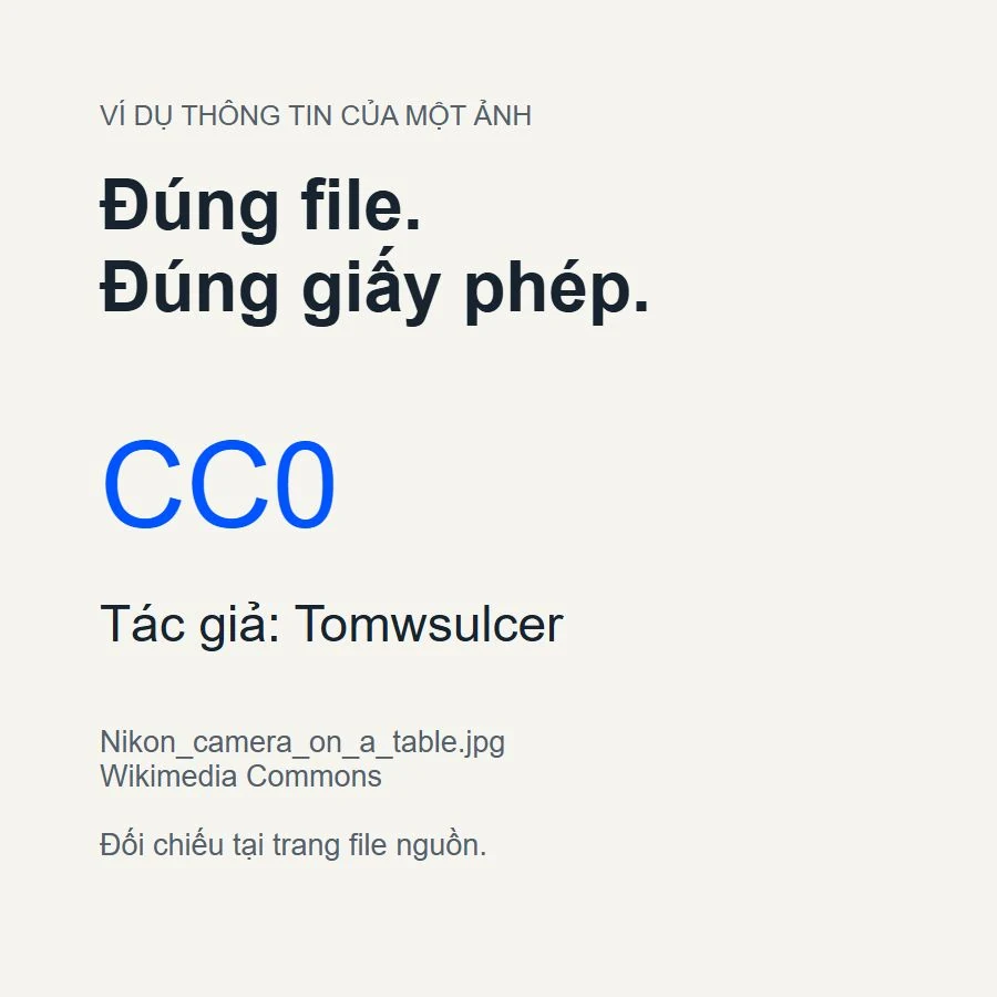 Ví dụ hồ sơ quyền sử dụng ảnh stock cho website gắn với file cụ thể