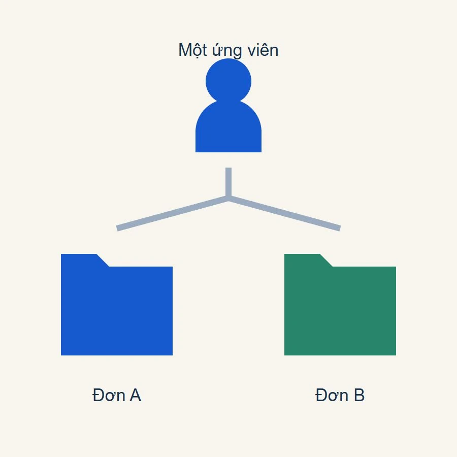 Một ứng viên ứng tuyển nhiều vị trí trên website, với hai đơn được tách riêng