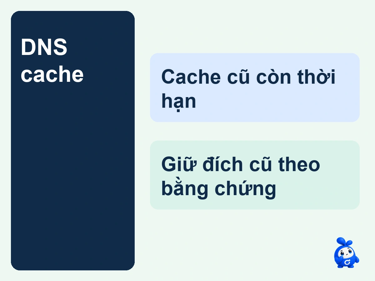 DNS cache: minh họa timeline ttl cũ, resolver và kết nối còn mở