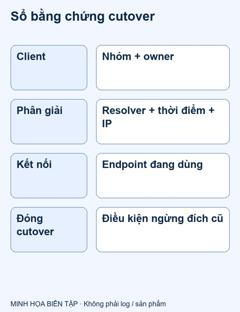Resolver, IP trả về, endpoint thật và kết nối đang mở